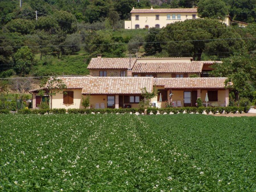 Agriturismo Casale Del Contadino Bolsena Exteriör bild
