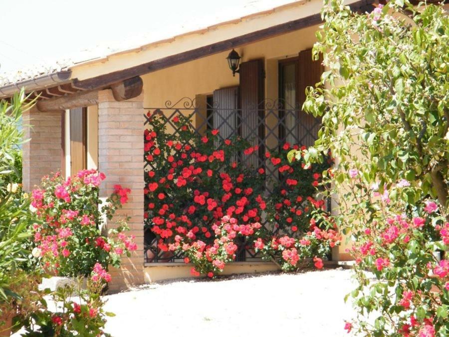 Agriturismo Casale Del Contadino Bolsena Exteriör bild