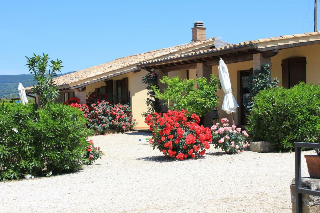 Agriturismo Casale Del Contadino Bolsena Exteriör bild