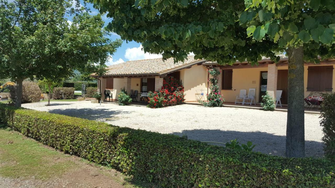 Agriturismo Casale Del Contadino Bolsena Exteriör bild