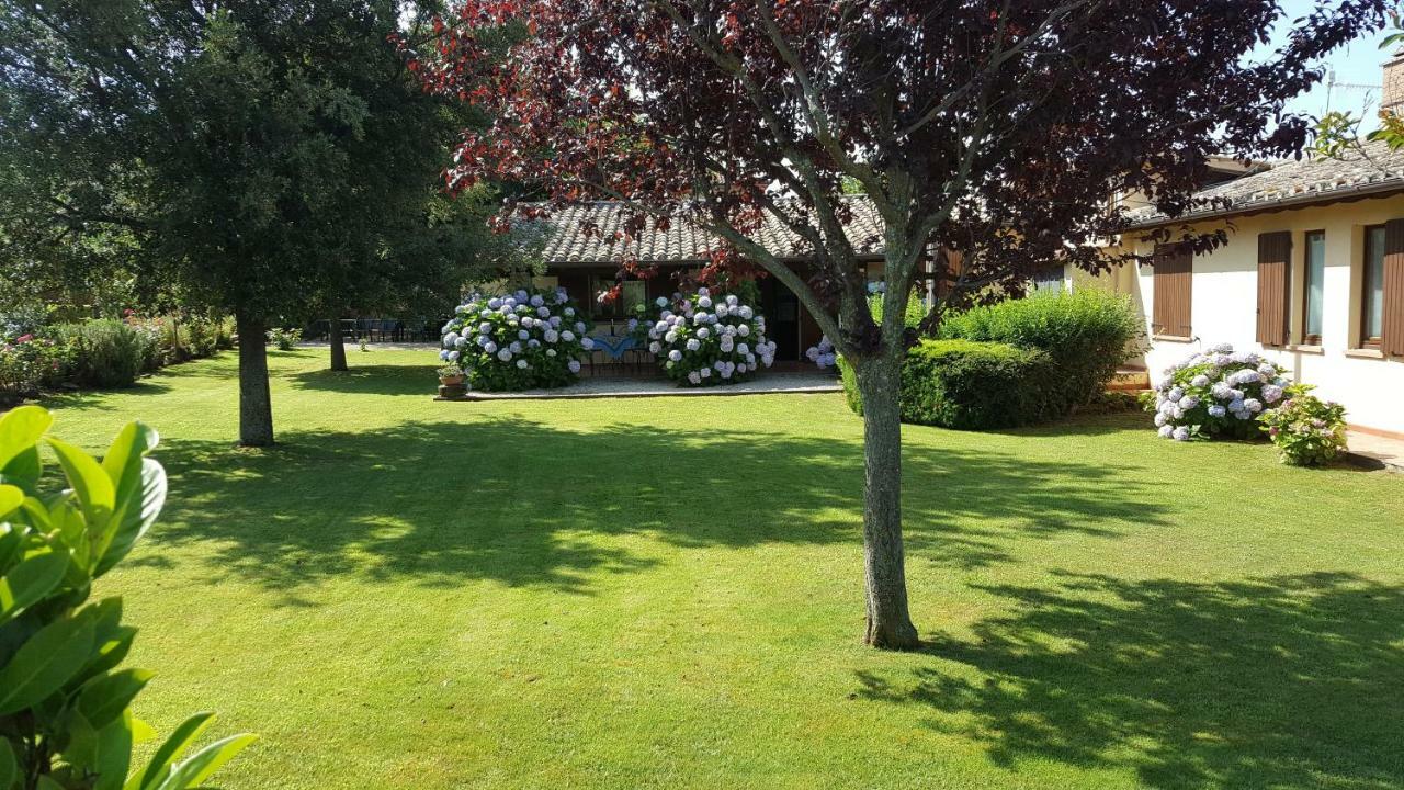 Agriturismo Casale Del Contadino Bolsena Exteriör bild