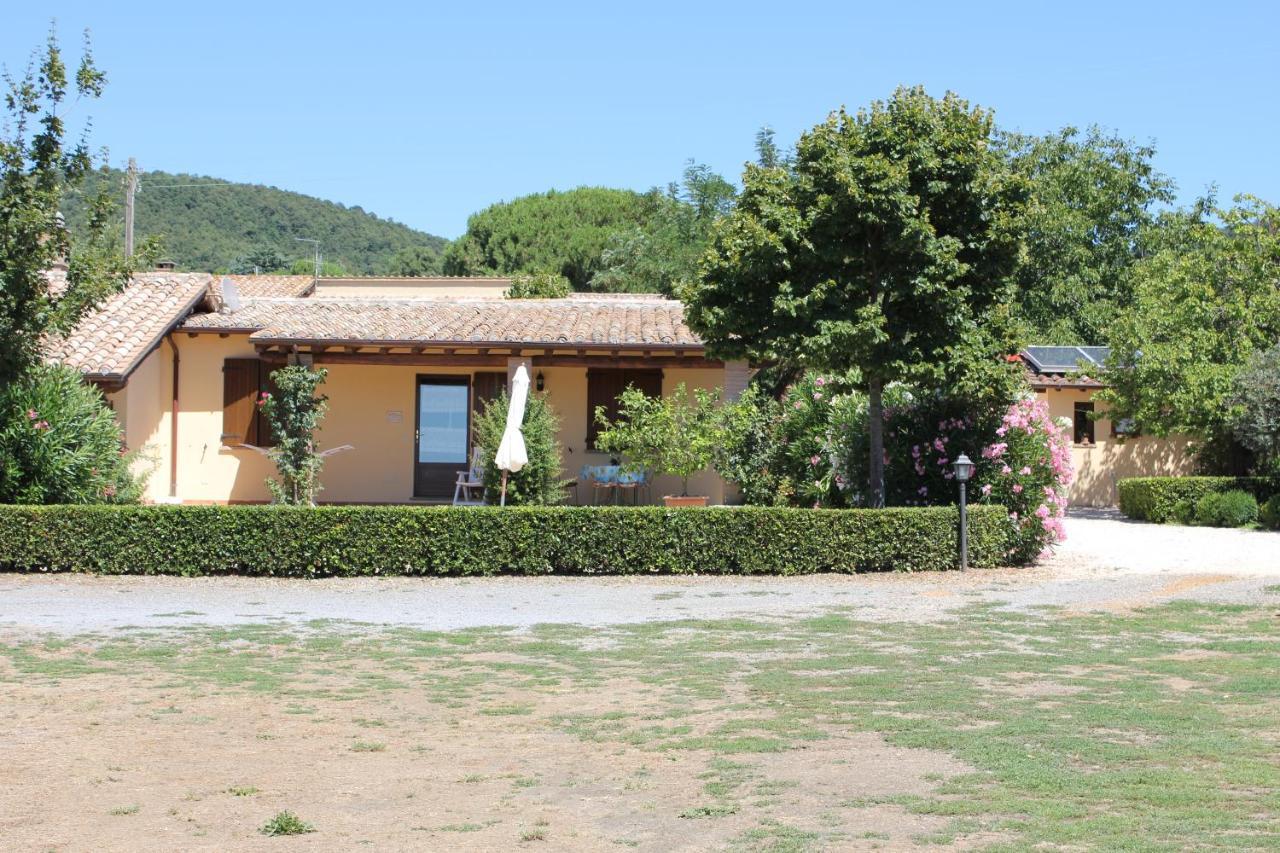 Agriturismo Casale Del Contadino Bolsena Exteriör bild